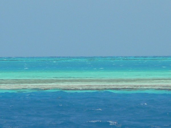 61- Couleurs de Dos Mosquises 